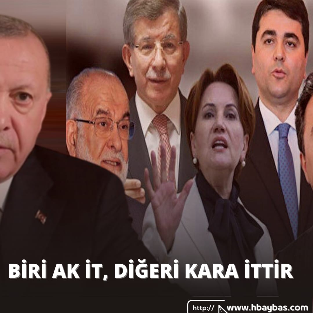 BİRİ AK İT, DİĞERİ KARA İTTİR